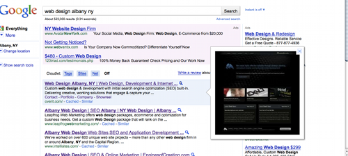 Google Instant Preview Screenshot